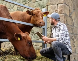 Elanco_LivestockAnimalCareManagementCard