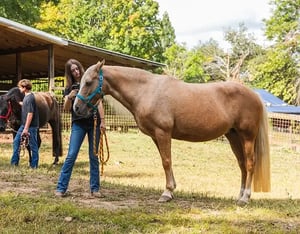 NHJTCA_EquineManagementEvalCardv2