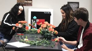 CO_school-of-benz-thumb